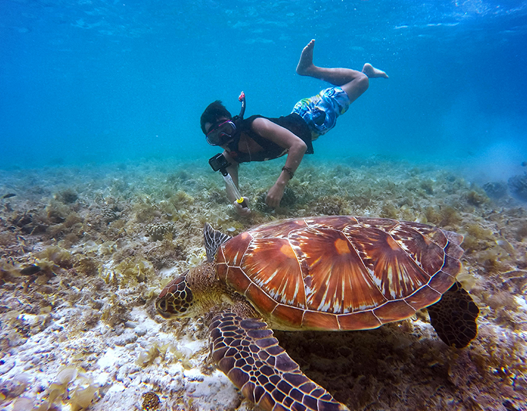 CORAL_CLIFF_VILLAS_Zanzibar_Karibu_SNORKELING
