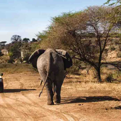 CORAL CLIFF VILLAS, Zanzibar, Makunduchi