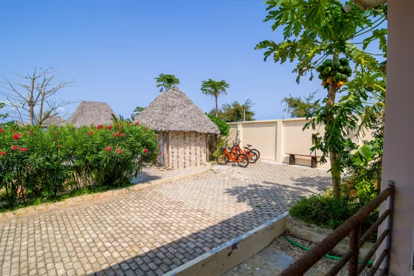 coral-cliff-zanzibar-ocean-4