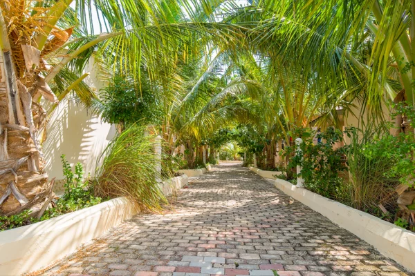 coral-cliff-zanzibar-ocean-view-11